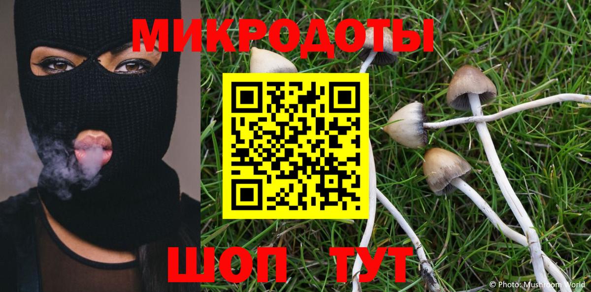 Галлюциногенные грибы мухоморы Семёнов