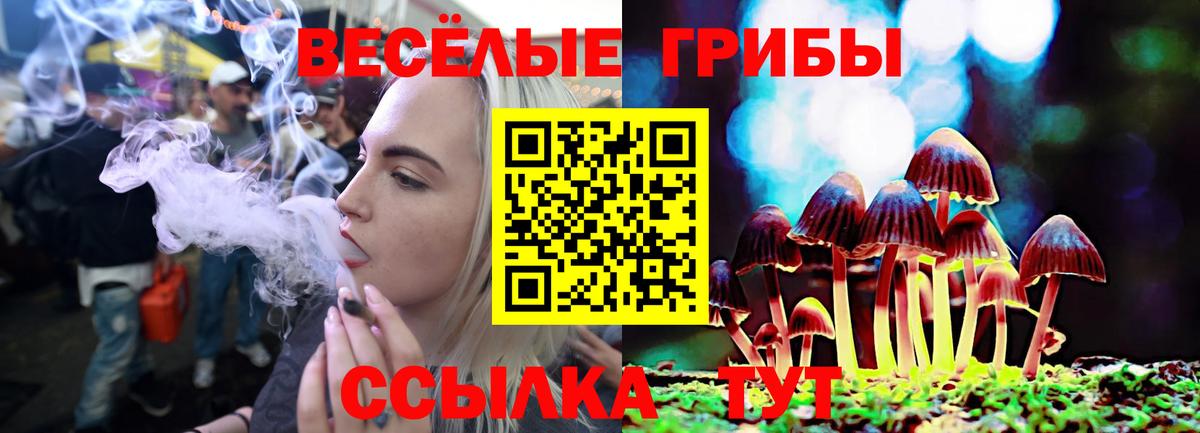 Псилоцибиновые грибы Psilocybine cubensis  закладки  Семёнов  Вход с VPN 